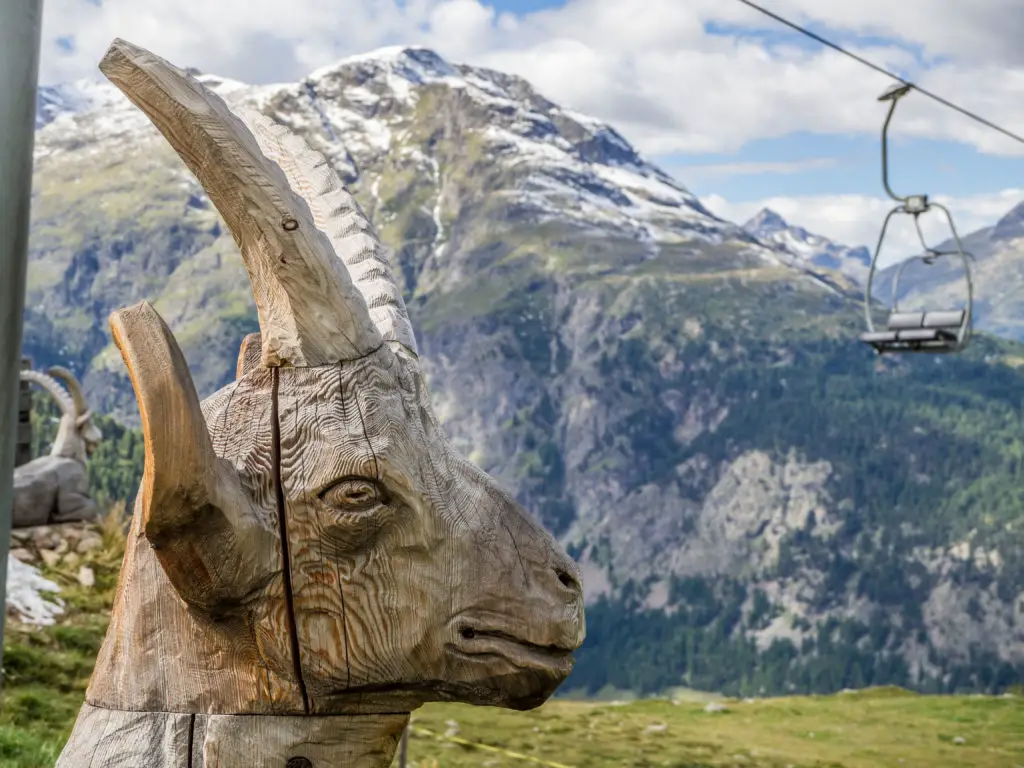 Von Muottas Muragl über die Alp Languard zur Chamanna