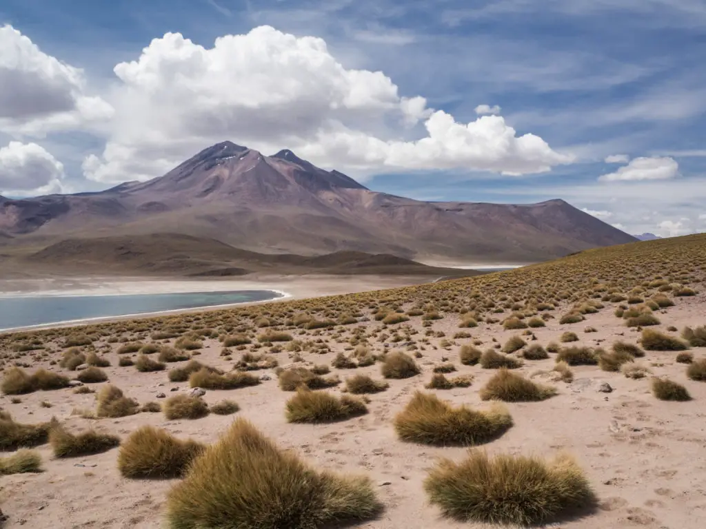 San Pedro de Atacama Die Lagunas Altiplánicas ein Ausflug in eine